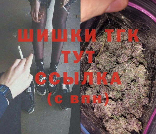мдпв Богородицк