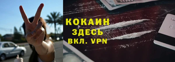 бошки Богданович