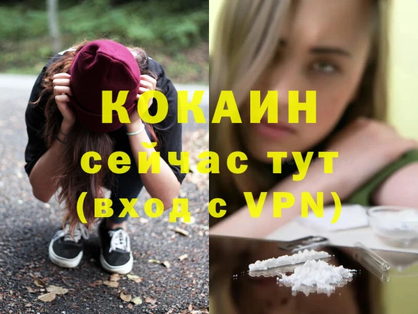 бошки Богданович