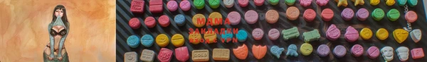мдпв Богородицк