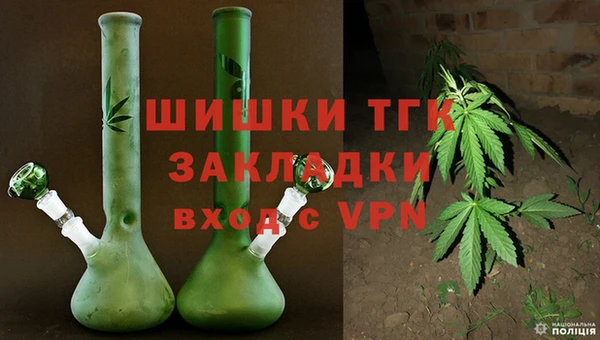 мдпв Богородицк